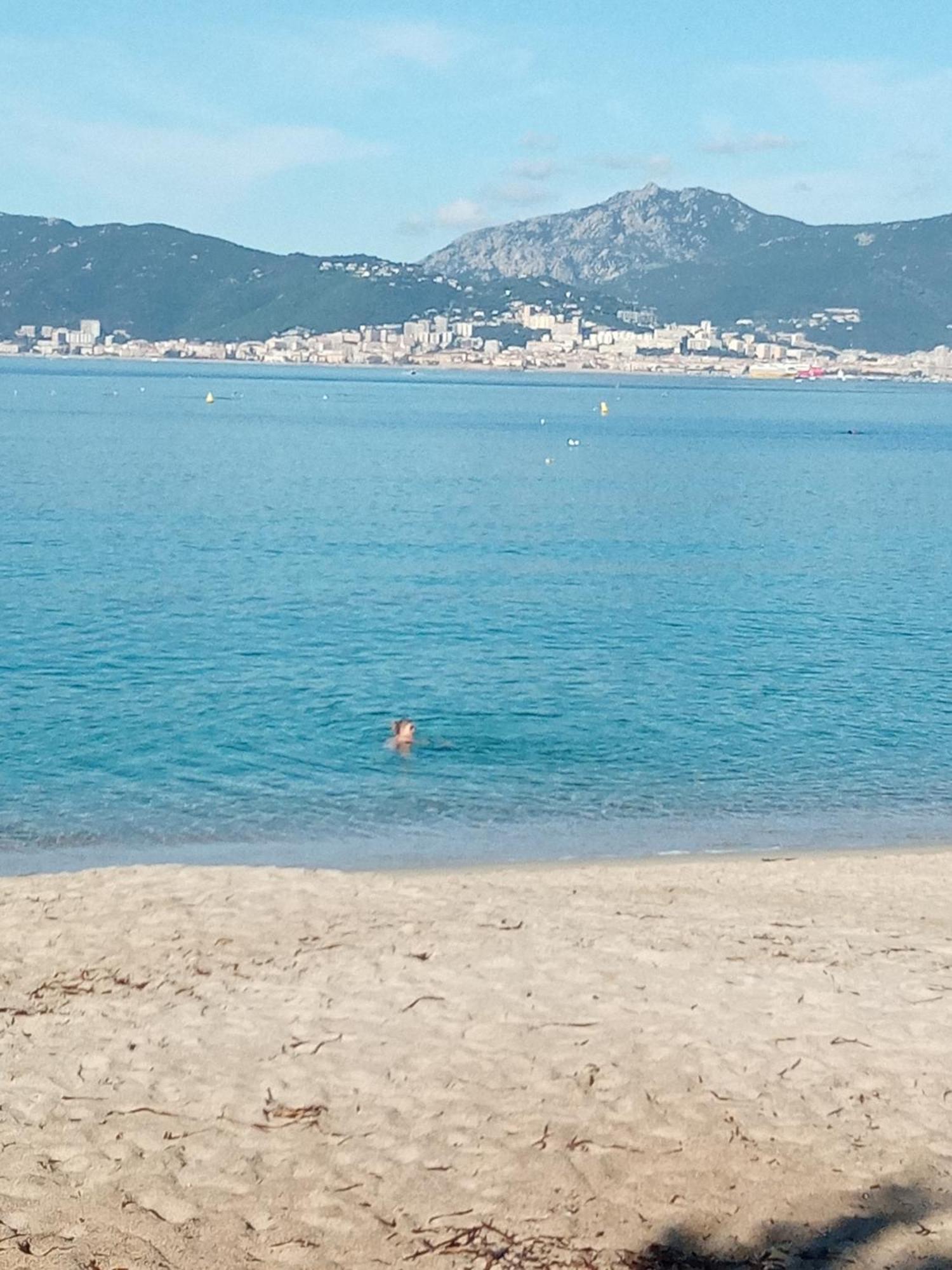 Appart 5 Personnes A Porticcio Avec 2 Piscines Materiel Enfant ,Bebe Clim 외부 사진